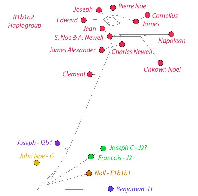 DNA Chart